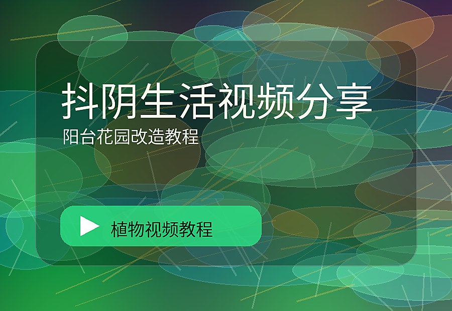 棠花映社