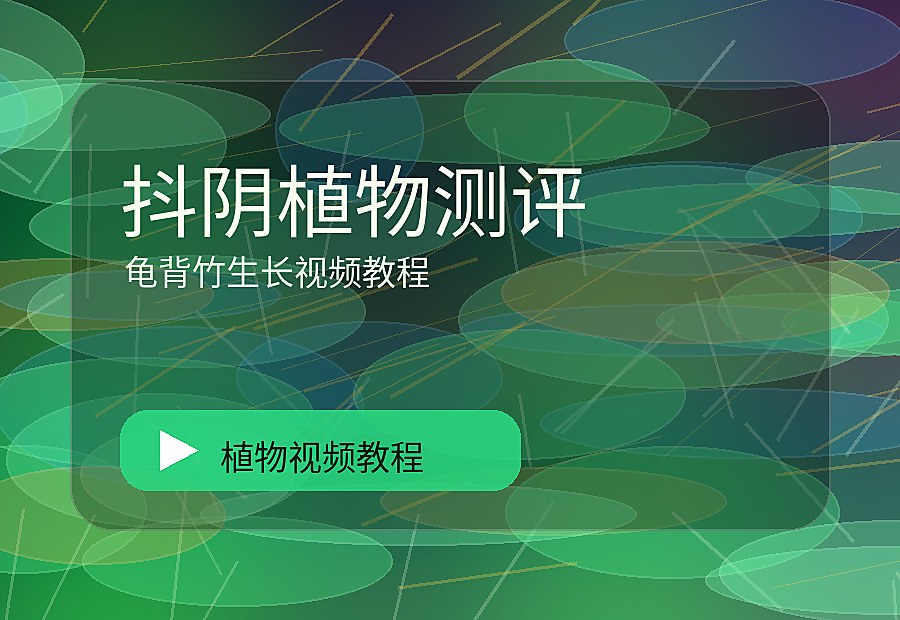 棠花映社