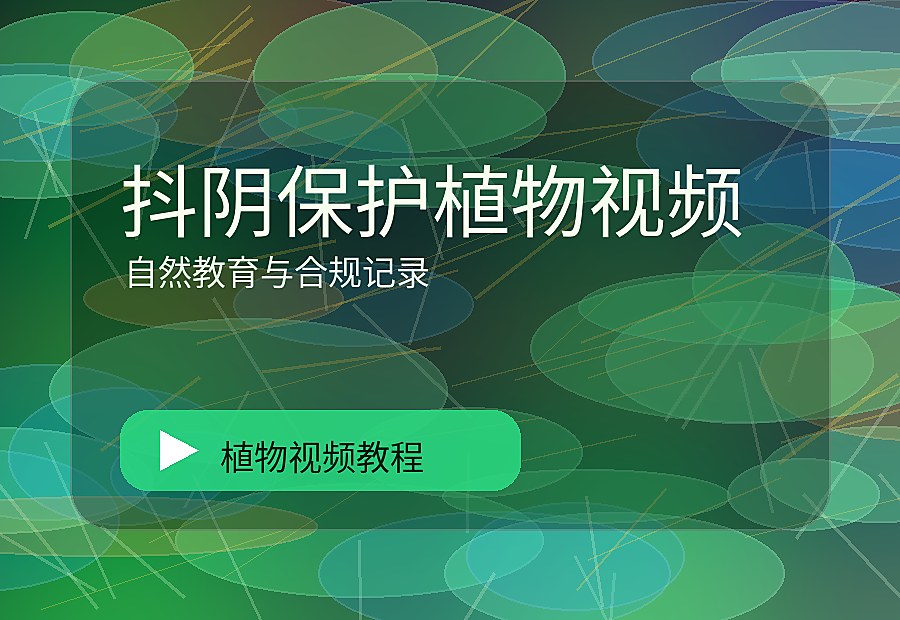 棠花映社