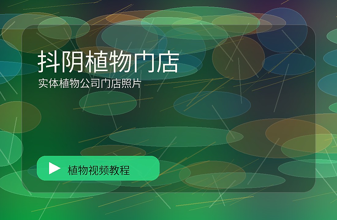 棠花映社